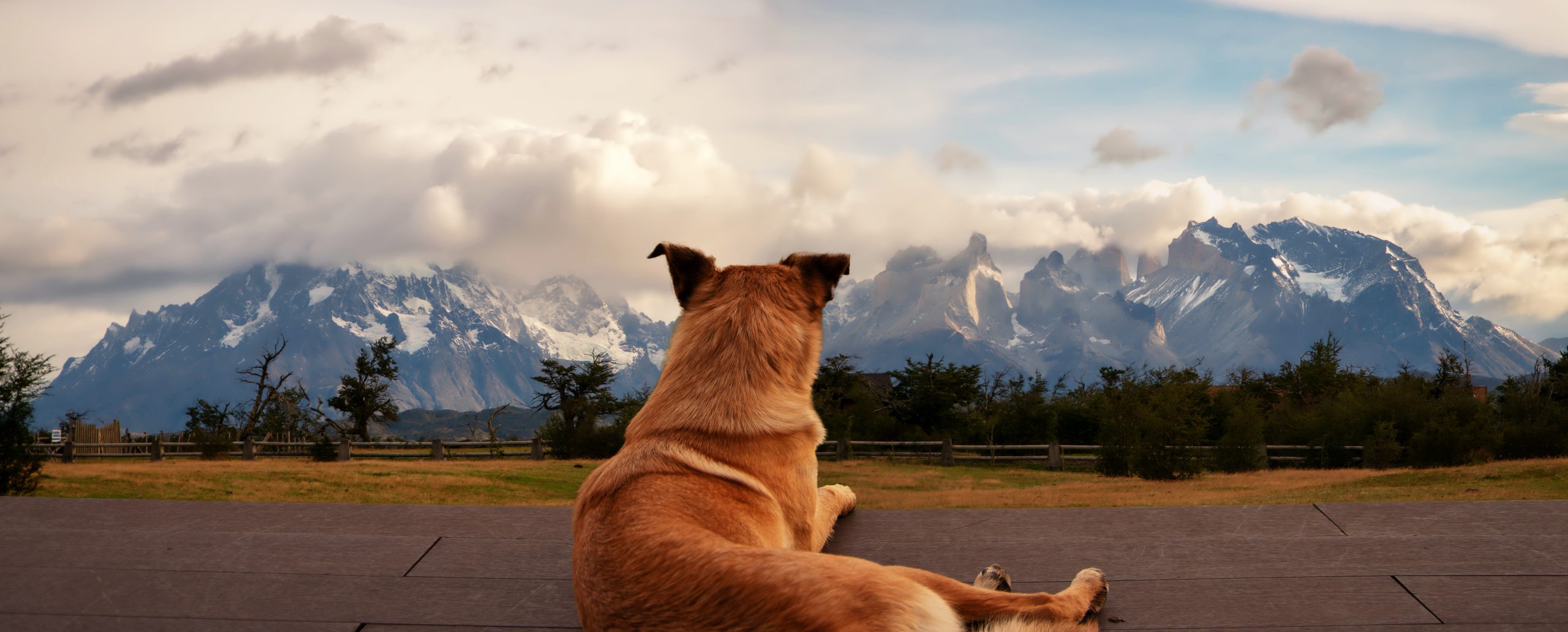 Torres del Paine National Park, in Chile’s Patagonia region, w
