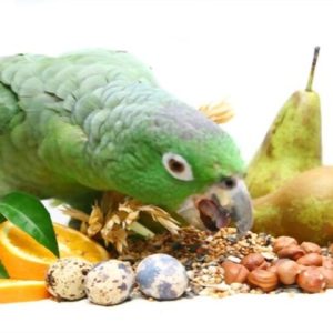 Alimentación