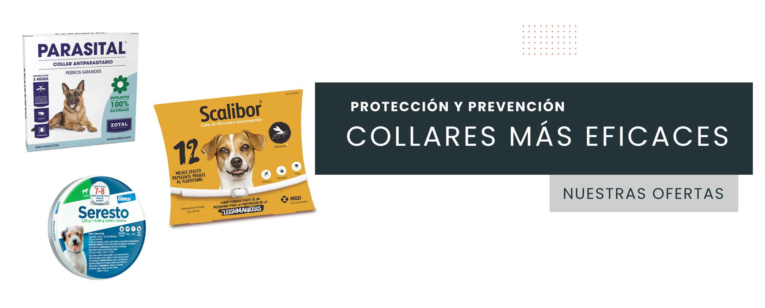 Collares-ofertas