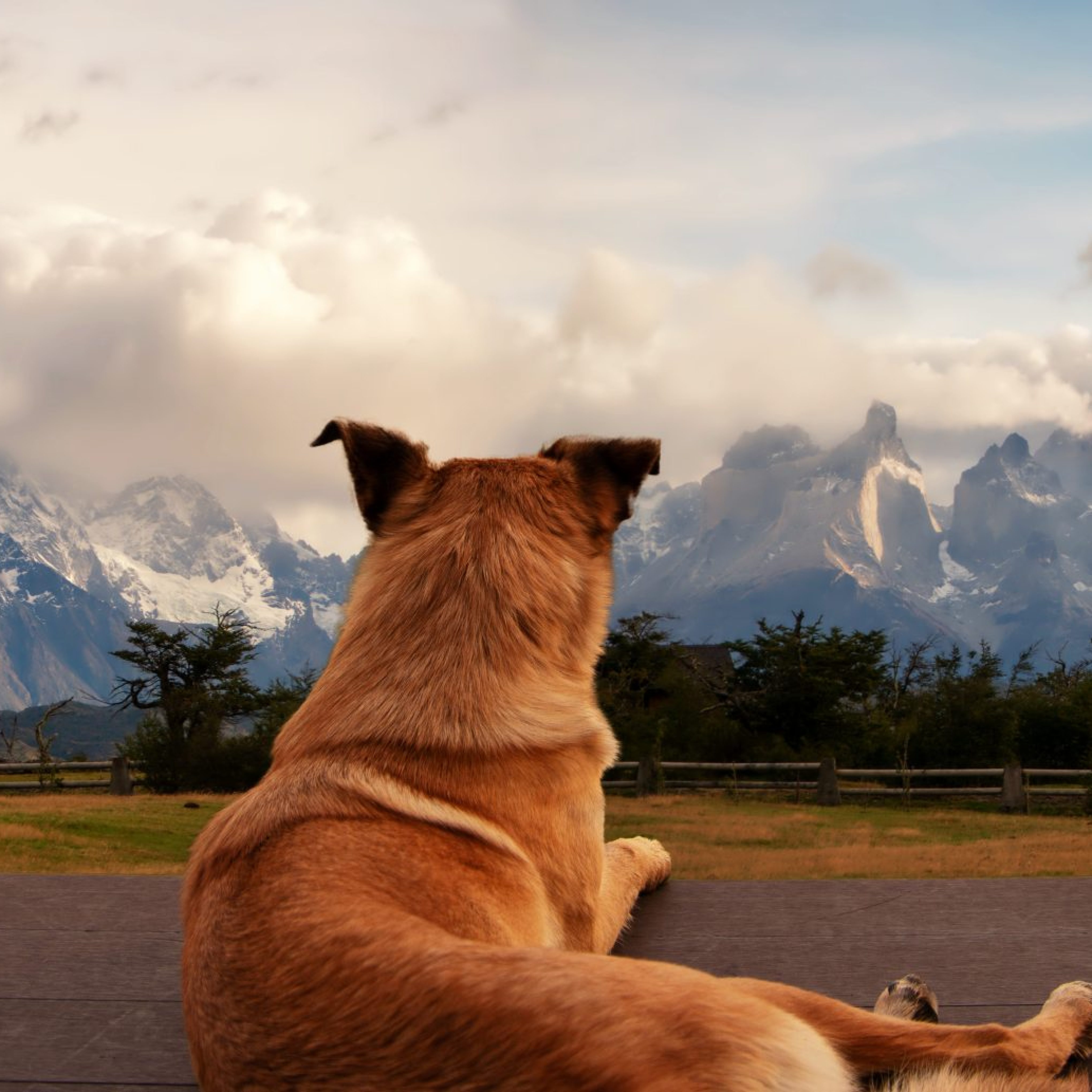 Torres del Paine National Park, in Chile’s Patagonia region, w